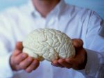 Российские ученые обновляют мозг