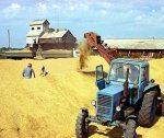 Россия увеличит импорт зерна до пяти миллионов тонн