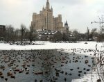 Московский зоопарк отметит 145-летие