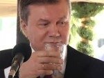 Чорновил рассказал, как отравили Януковича