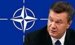 Януковича пригласят на саммит НАТО