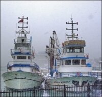 Из-за снежной бури закрыли пролив Босфор