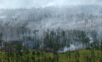 Лесные пожары на Дальнем востоке разгорелись с новой силой