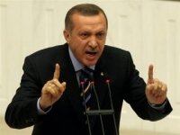 Эрдоган призвал страны не блокировать резолюции по Сирии