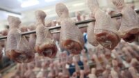 Twitter в Саудовской Аравии призывает бойкотировать курятину