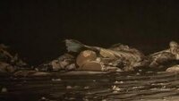 Двое погибших в авиакатастрофе в Москве
