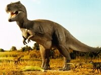Ученые нашли яйца динозавров
