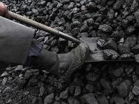 Япония начнёт закупать уголь