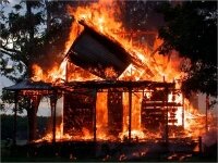 Лесные пожары на юго-востоке Австралии уничтожили более 20 домов