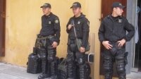 Рекордное количество наркотиков уничтожено в уходящем году в Перу