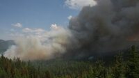 На Дальнем Востоке за сутки сгорело почти семь тысяч гектаров леса