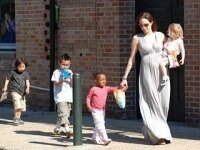 Во что обходится Джоли и Питту содержание детей?